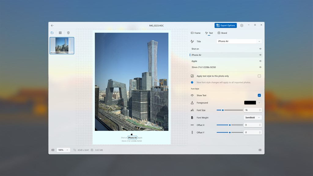 Text panel showing editable caption lines with per-line visibility and font controls