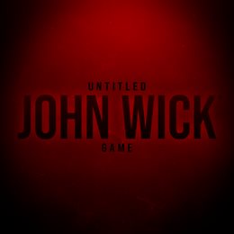 Aperçu Untitled John Wick Game