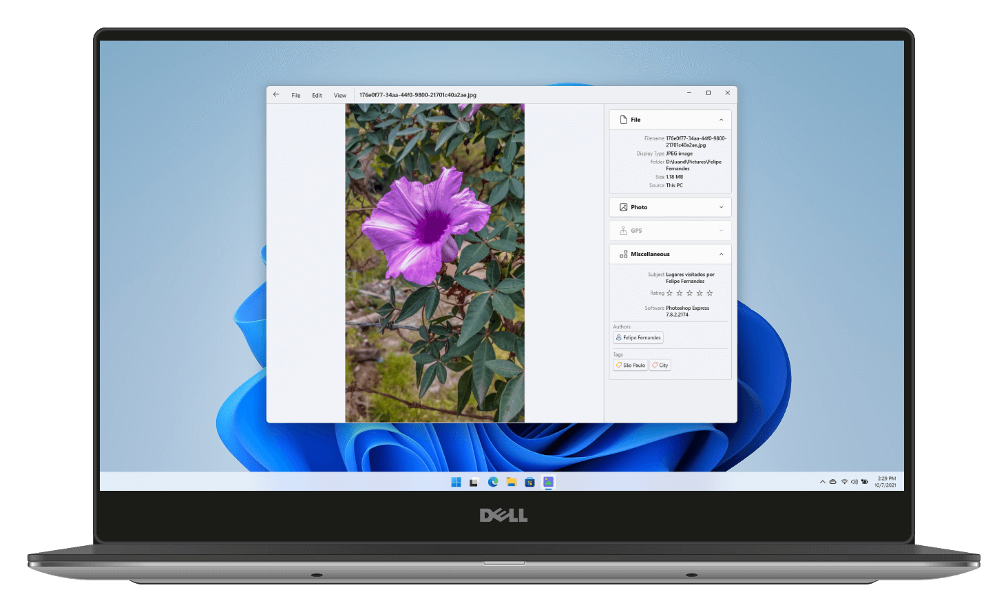 Visum Photo Viewer