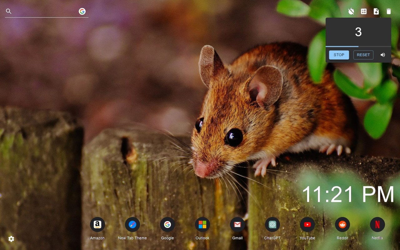 Mouse Wallpaper New Tab