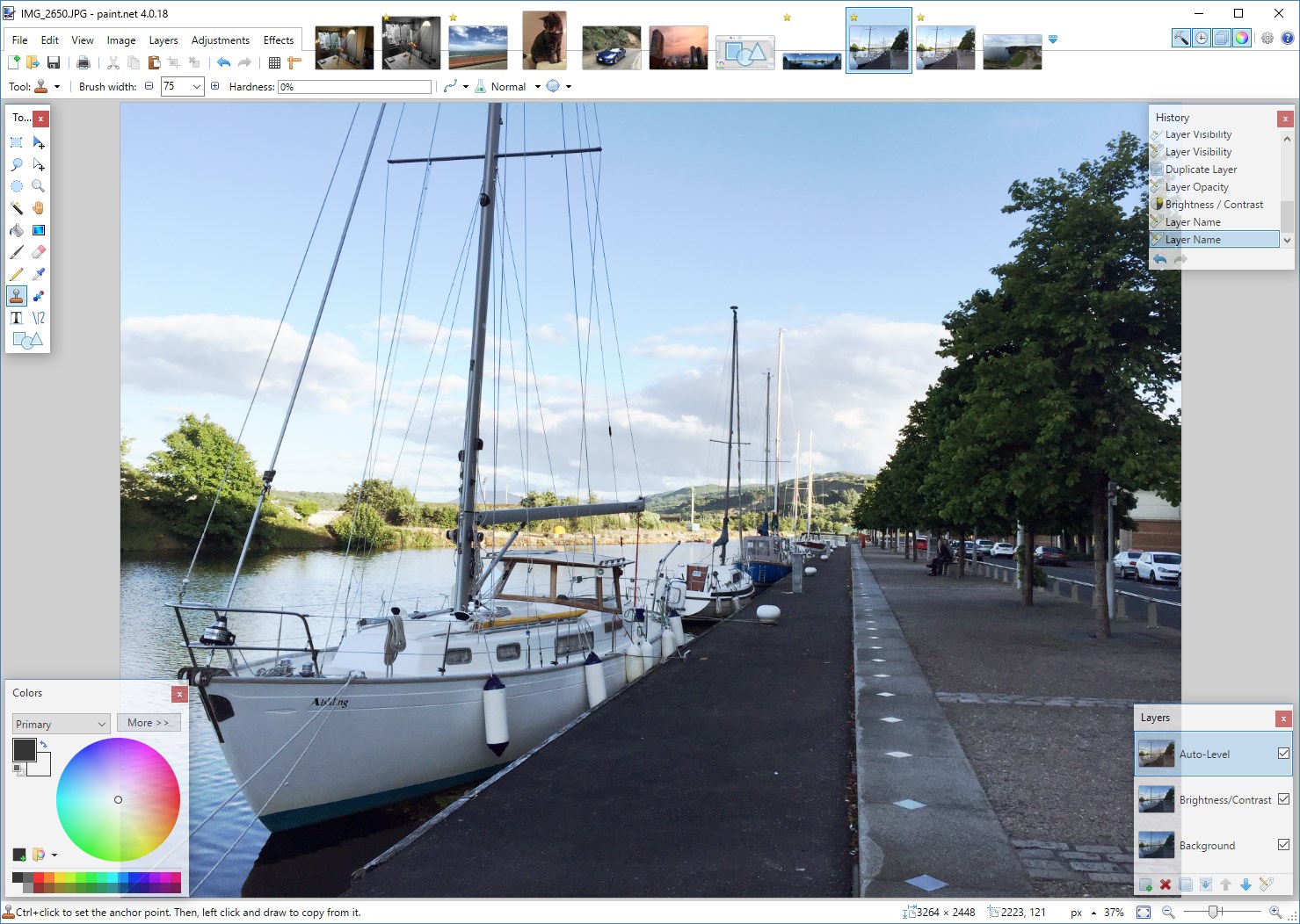 Paint.NET Screen Views 6