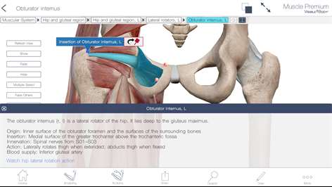 Muscle Premium: 3D Visual Guide for Bones, Joints & Muscles — Human Anatomy & Kinesiology Screenshots 1