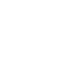 ElMoudjahid