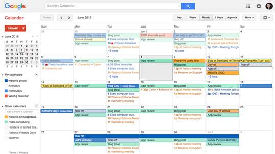 Life and Calendar screenshot 2