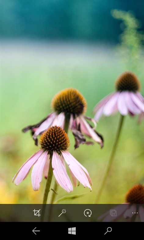 Microsoft Photos Screenshot