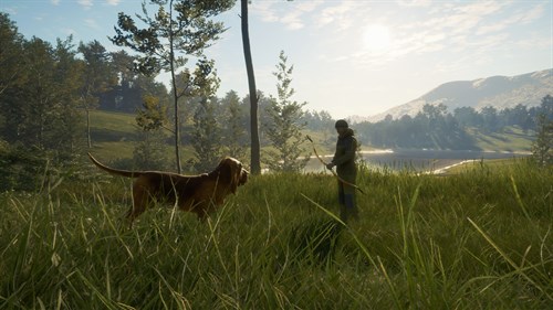 theHunter: Call of the Wild™ - Bloodhound