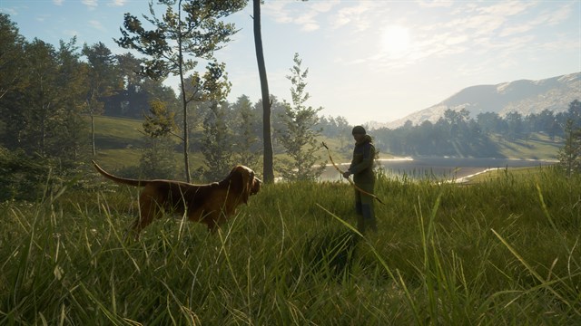 theHunter: Call of the Wild - Bloodhound screenshot 3