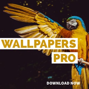 Wallpapers Pro