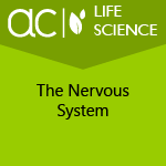 AC Life Science: The Nervous System