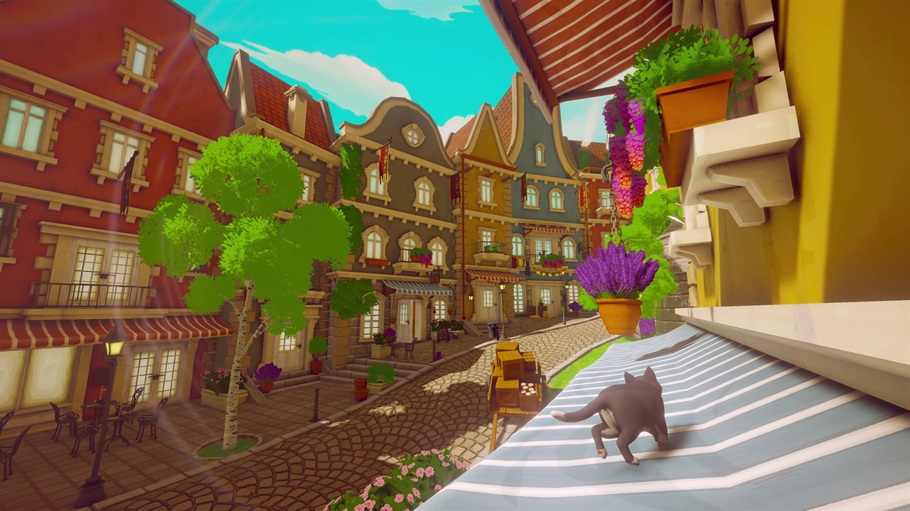 Pawbay screenshot 9