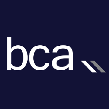 BaseCap Analytics Issue Management image