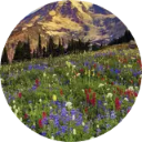 Mount Rainier National Park Wallpaper New Tab icon