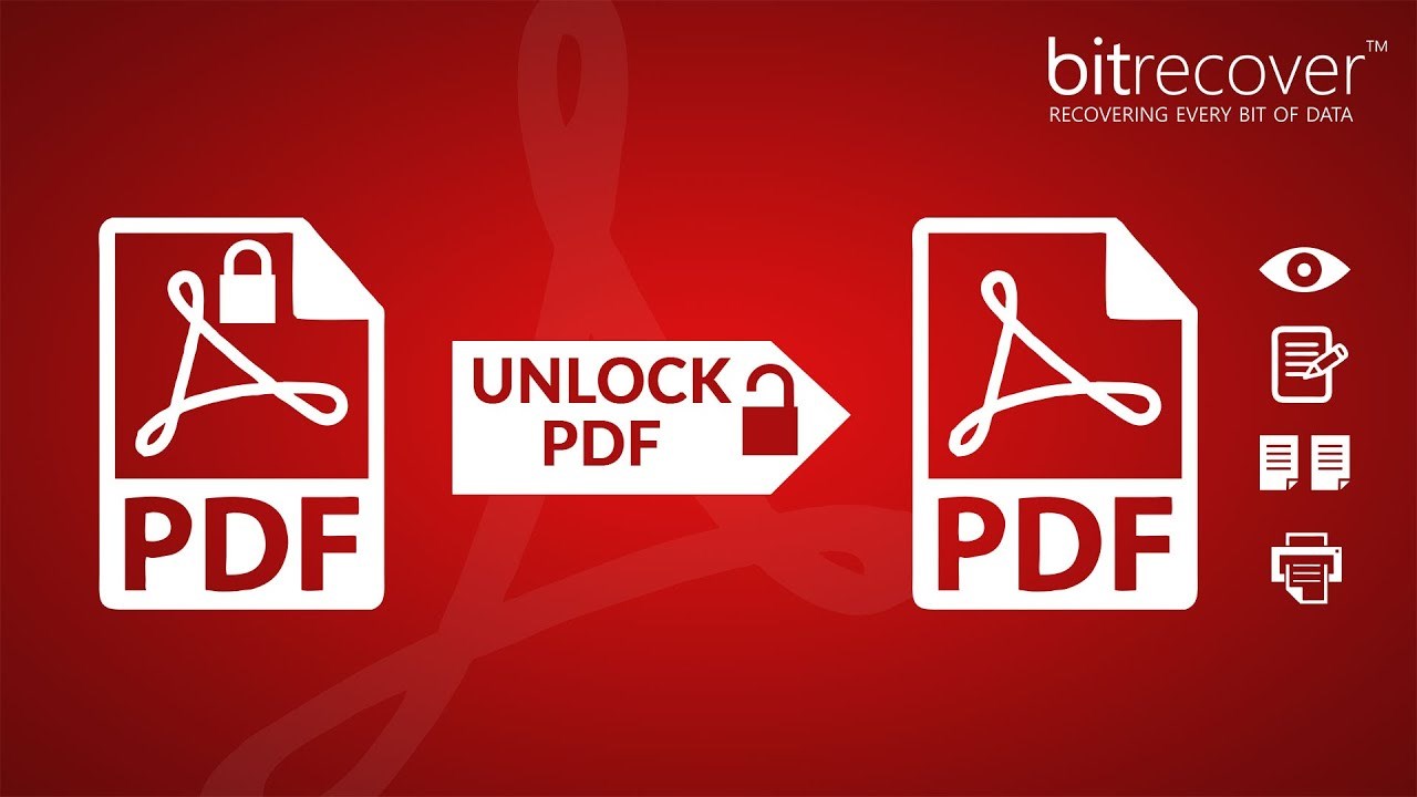 Snapshot 1 of BitRecover PDF Password Remover