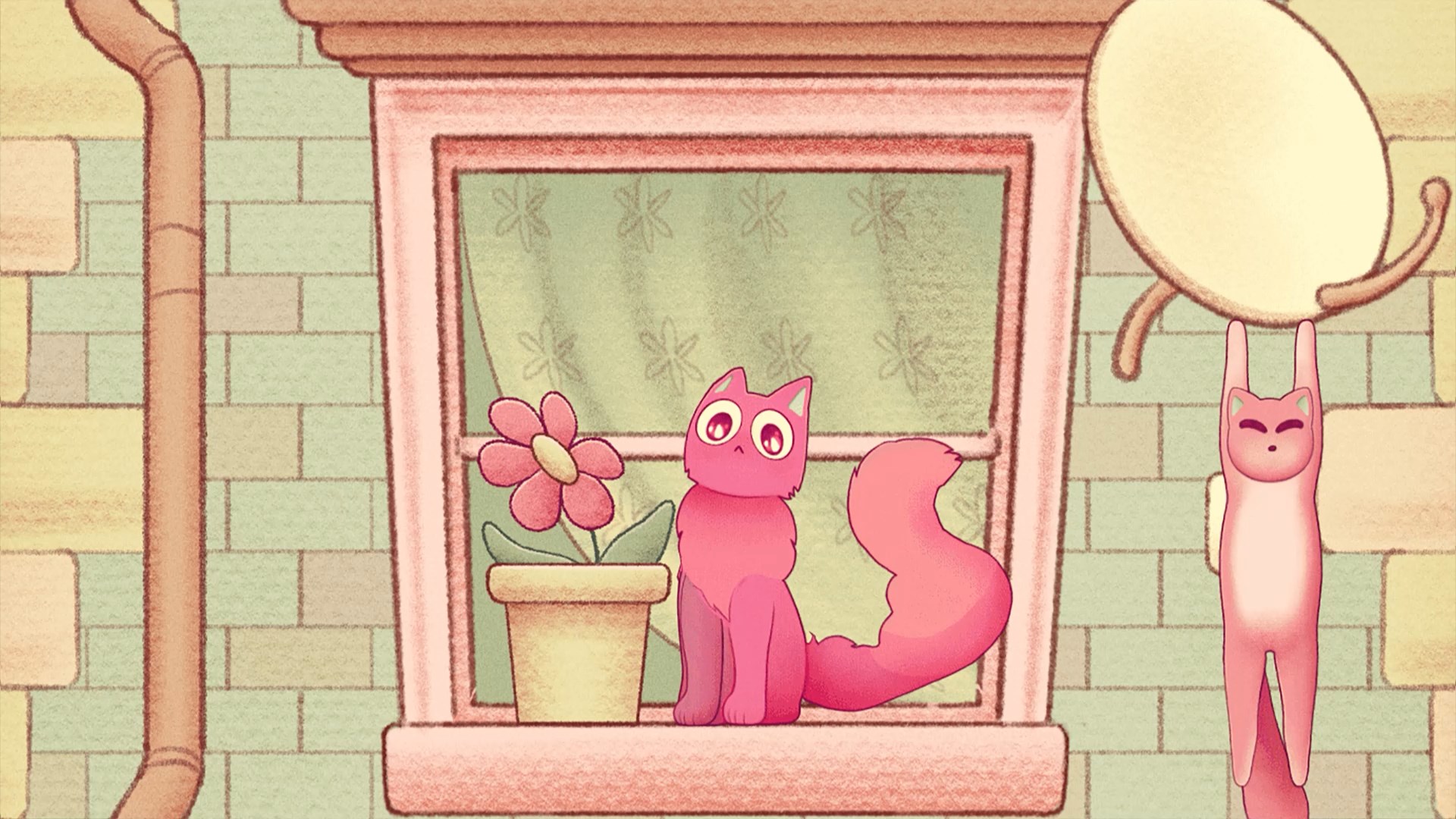 Fit My Cat screenshot thumbnail video