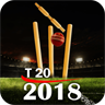 T20 Schedule & Live Score
