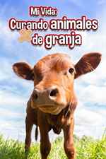 Poster de 9P1DGSZWH4H0