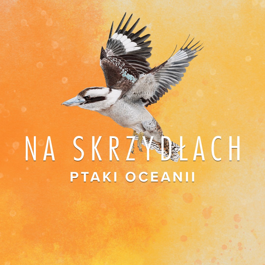 WINGSPAN (Na Skrzydłach): Ptaki Oceanii