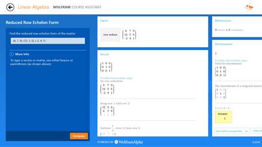 Linear Algebra Course Assistant screenshot 3