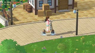 Harvest Moon: Home Sweet Home Special Edition screenshot 3