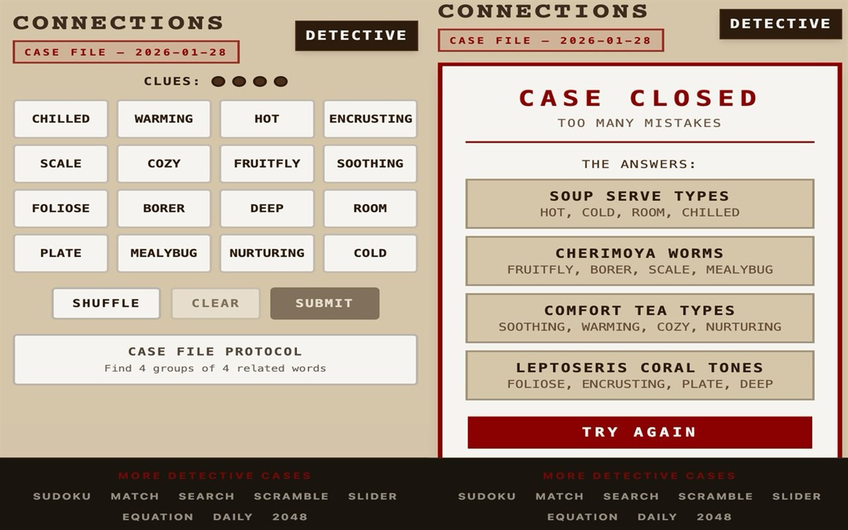Detective Connections — Link the Clues