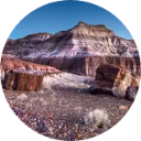 Petrified Forest National New Tab