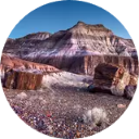 Petrified Forest National New Tab icon