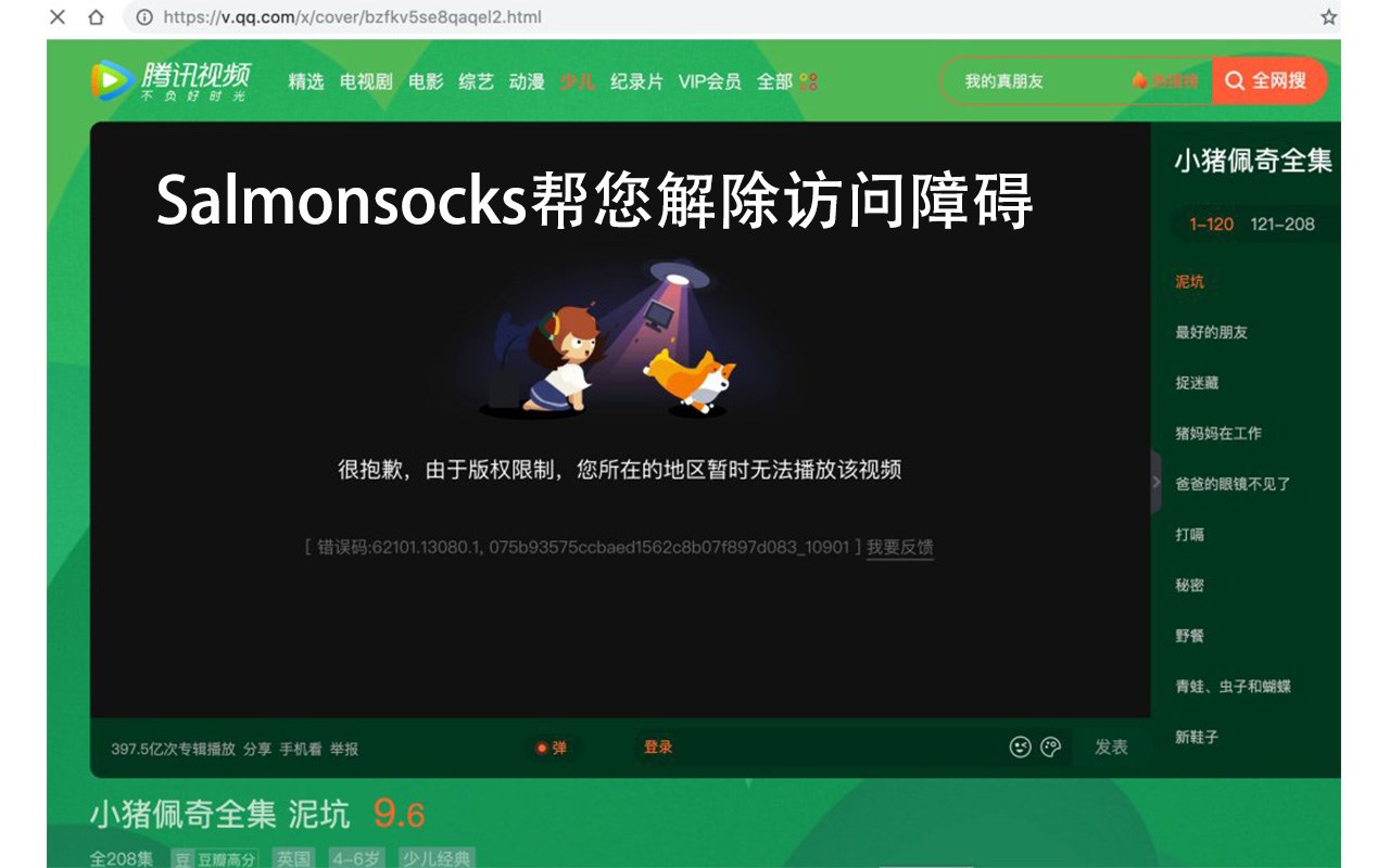 Salmonsocks - China VPN