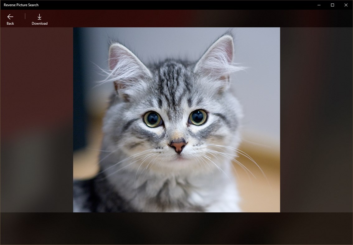 #3. Reverse Picture Search (Windows) Door: Roberto Baruffa - Pro