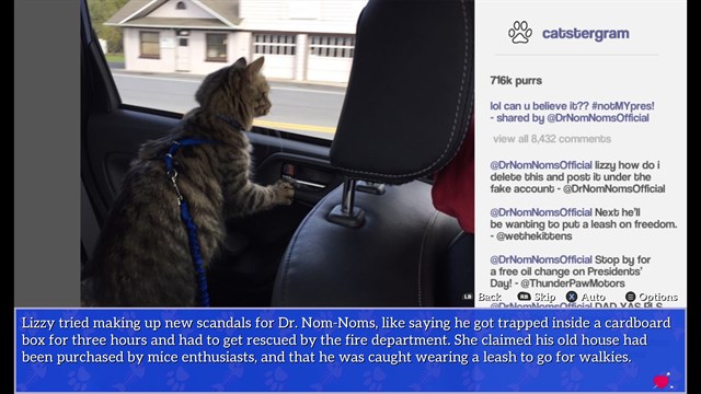Cat President: A More Purrfect Union screenshot 3