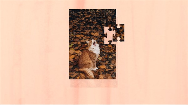 Jigsaw Puzzle Sleepy Cats — 1