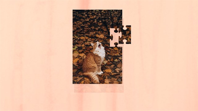Jigsaw Puzzle Sleepy Cats screenshot 1