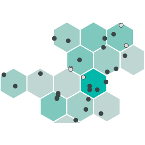 Hexbin Scatterplot icon