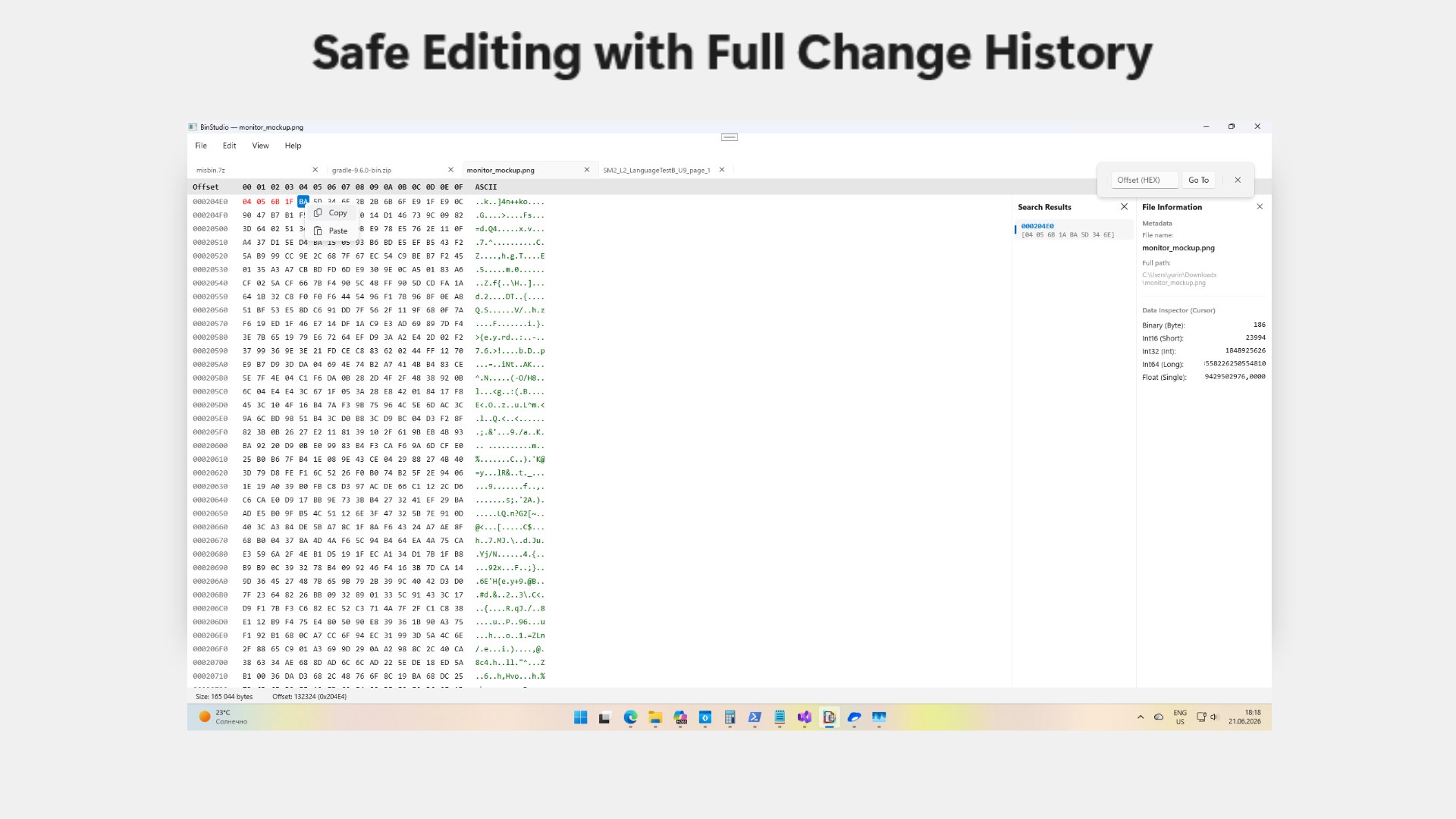 BinStudio — Fast HEX Editor & Binary Viewer screenshot