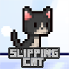 Slipping Cat