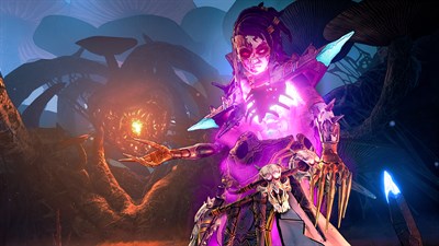 Tiny Tina's Wonderlands для Xbox Series X|S — скриншот 8