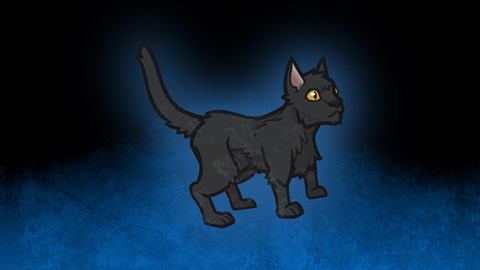 Black Cat Familiar