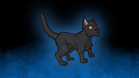 Black Cat Familiar