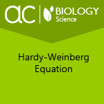 AC Biology: Hardy-Weinberg Equation