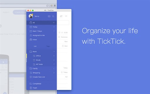 TickTick - Effective To-Do & Task List Extension