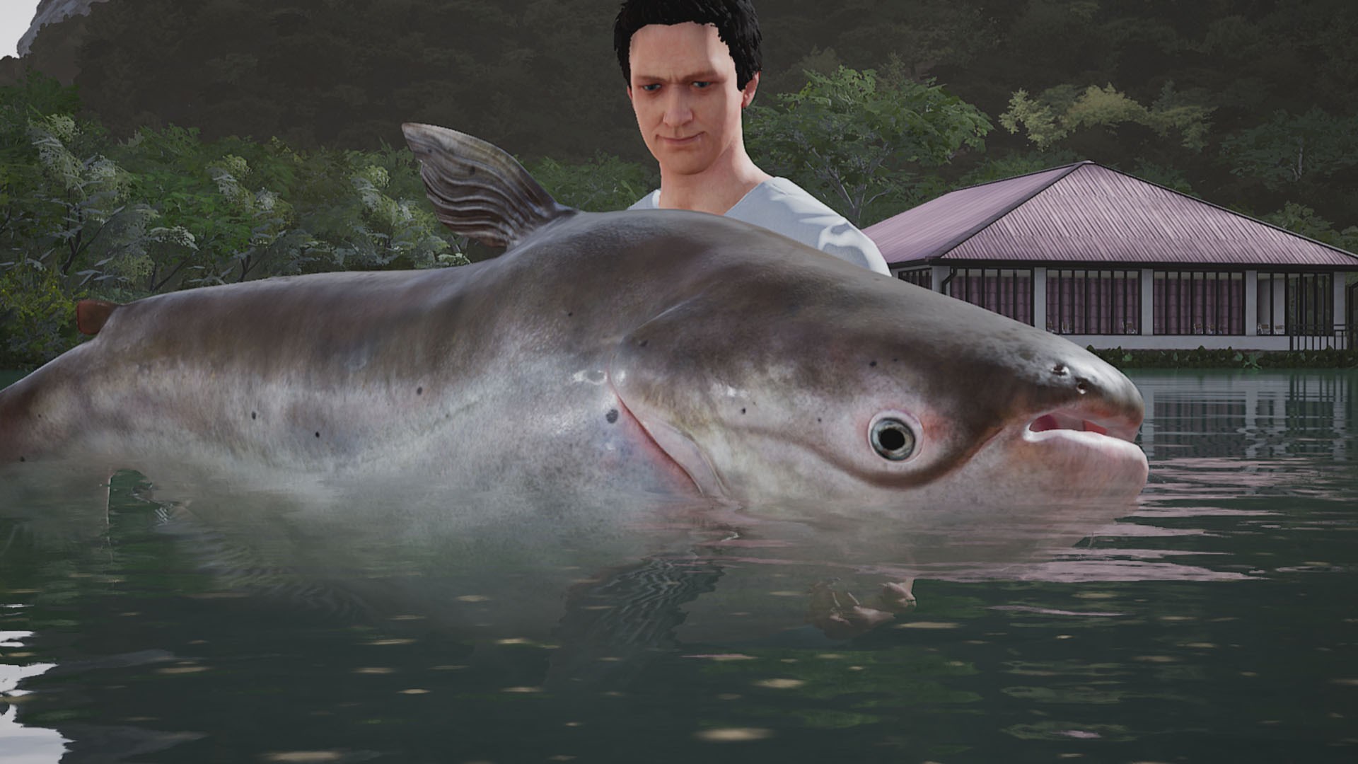 fishing sim world best catfish bait