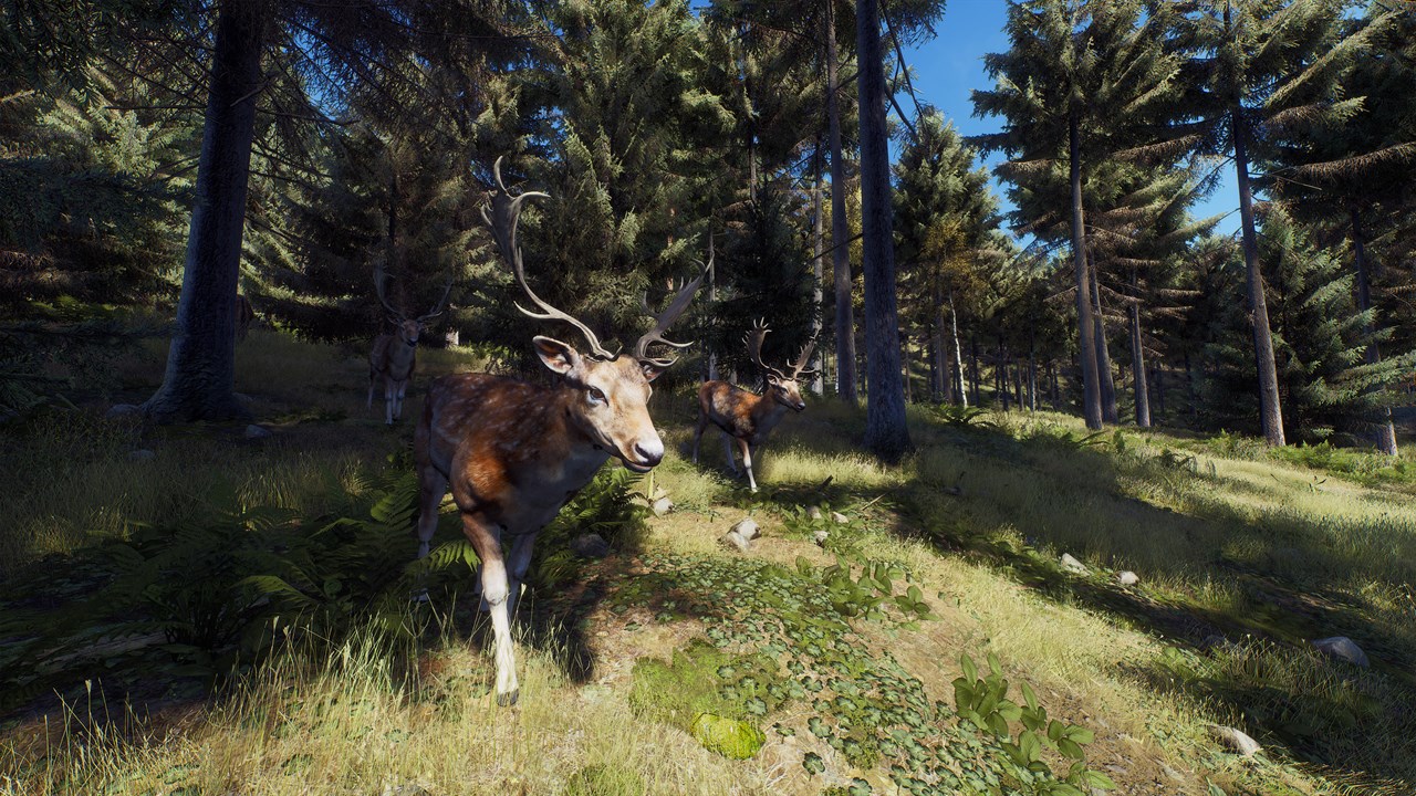 Way of the Hunter screenshot 6
