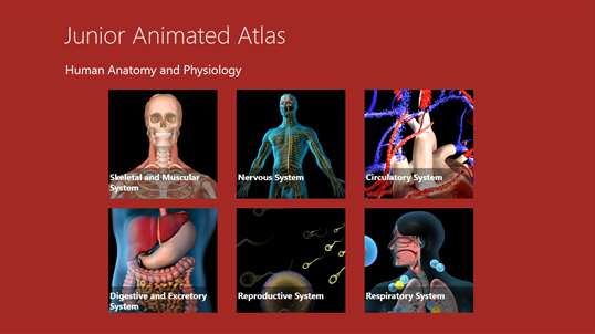 Anatomy Atlas-Junior screenshot 1