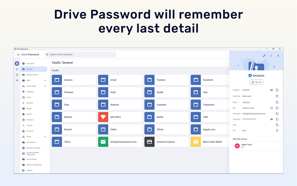 #3. DrivePassword - Password Manager (Windows) 来自: Promotino Ltd.