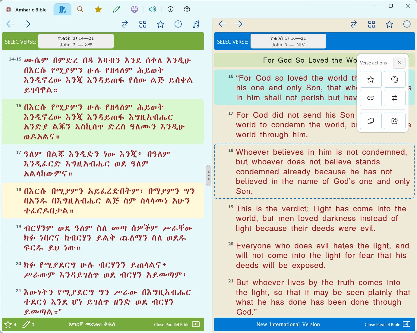 Amharic and Geez Study Bible screenshot