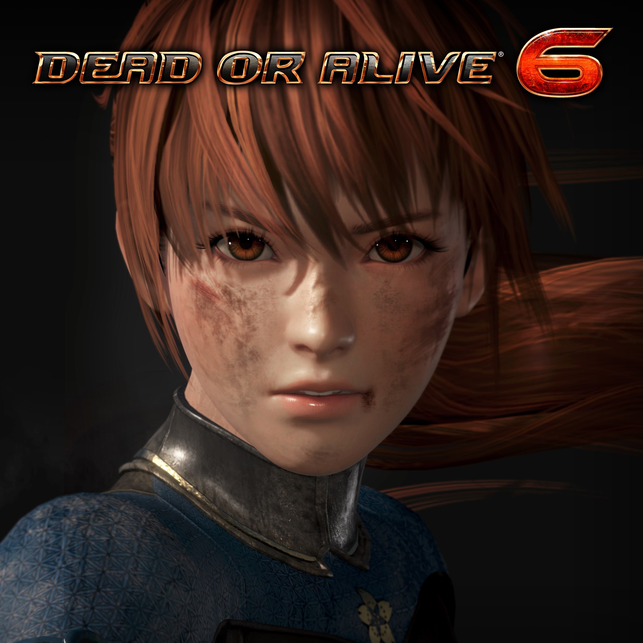 未使用・未開封】PS4ソフト DEAD OR ALIVE 6 デッドオアアライブ6