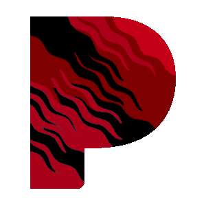 Pandora Media Session Support icon