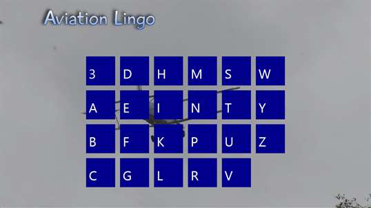 Aviation Lingo screenshot 7