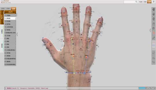 Hand Acupuncture screenshot 5