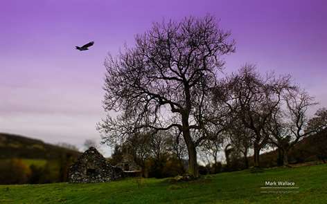 Isle of Man by Mark Wallace Screenshots 2