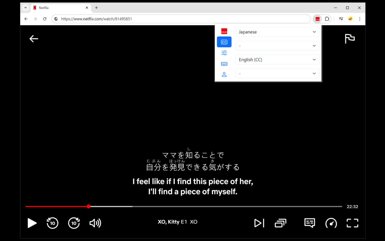 Netflix Bilingual Subtitles